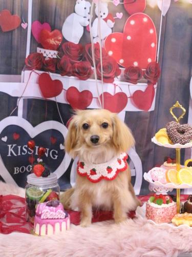 20250211ルークくん